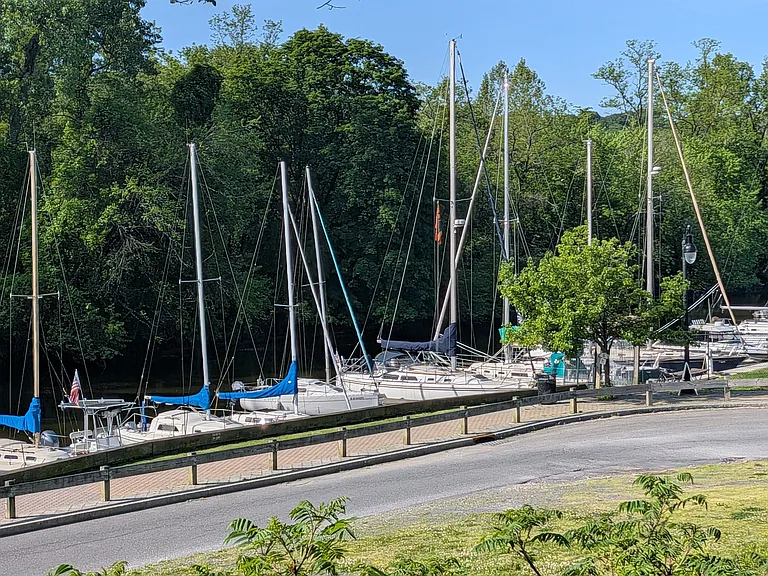 View from deck