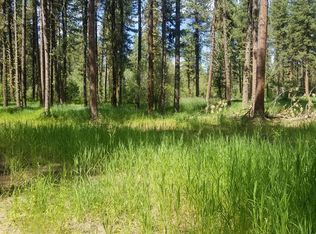 920 Elo Rd, McCall, ID 83638