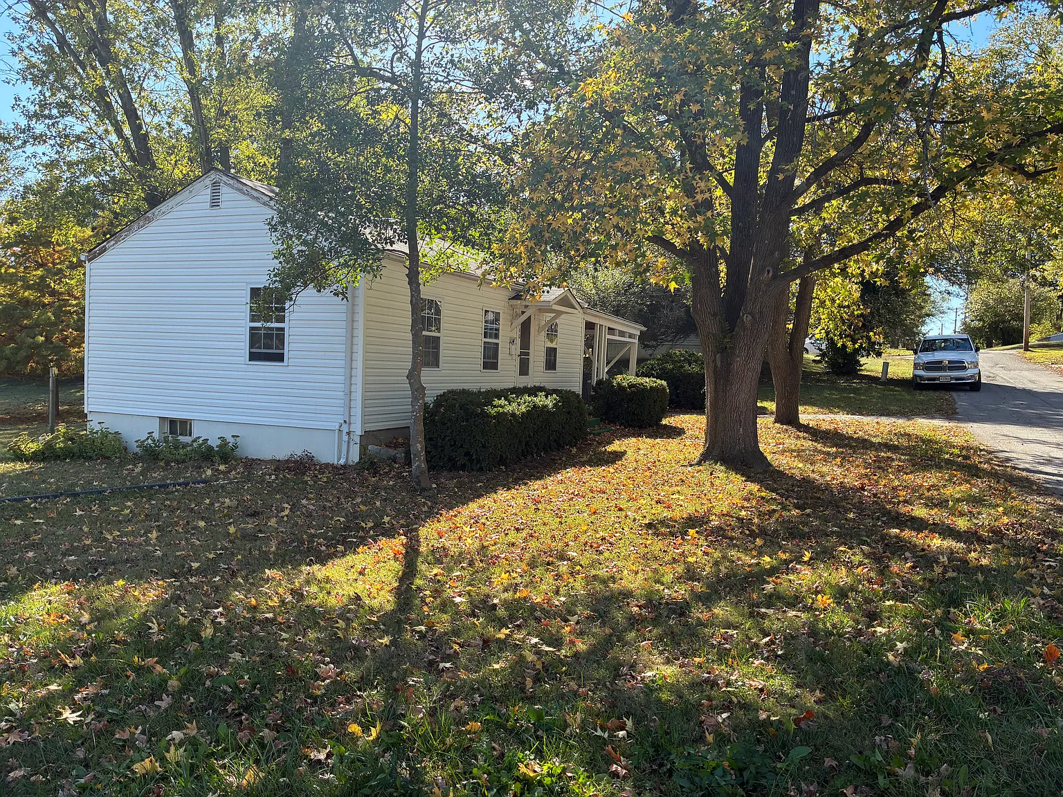 1 bed, 540 sqft, $1,000 — Photo 4
