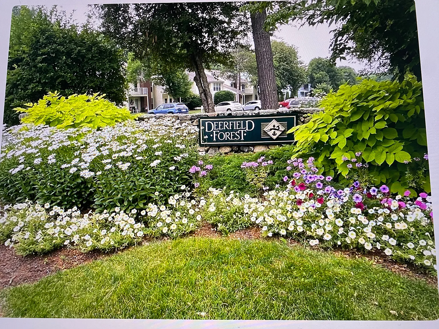 Walden Dr, Natick — Photo 1