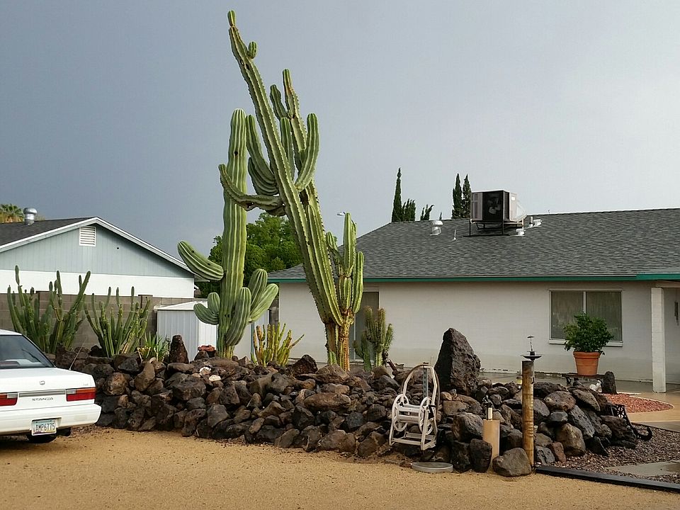 1st image of 3840 W Meadow Dr