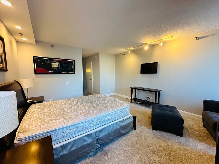 512 N McClurg Ct #3704 — Photo 5