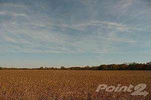 Build your dream home