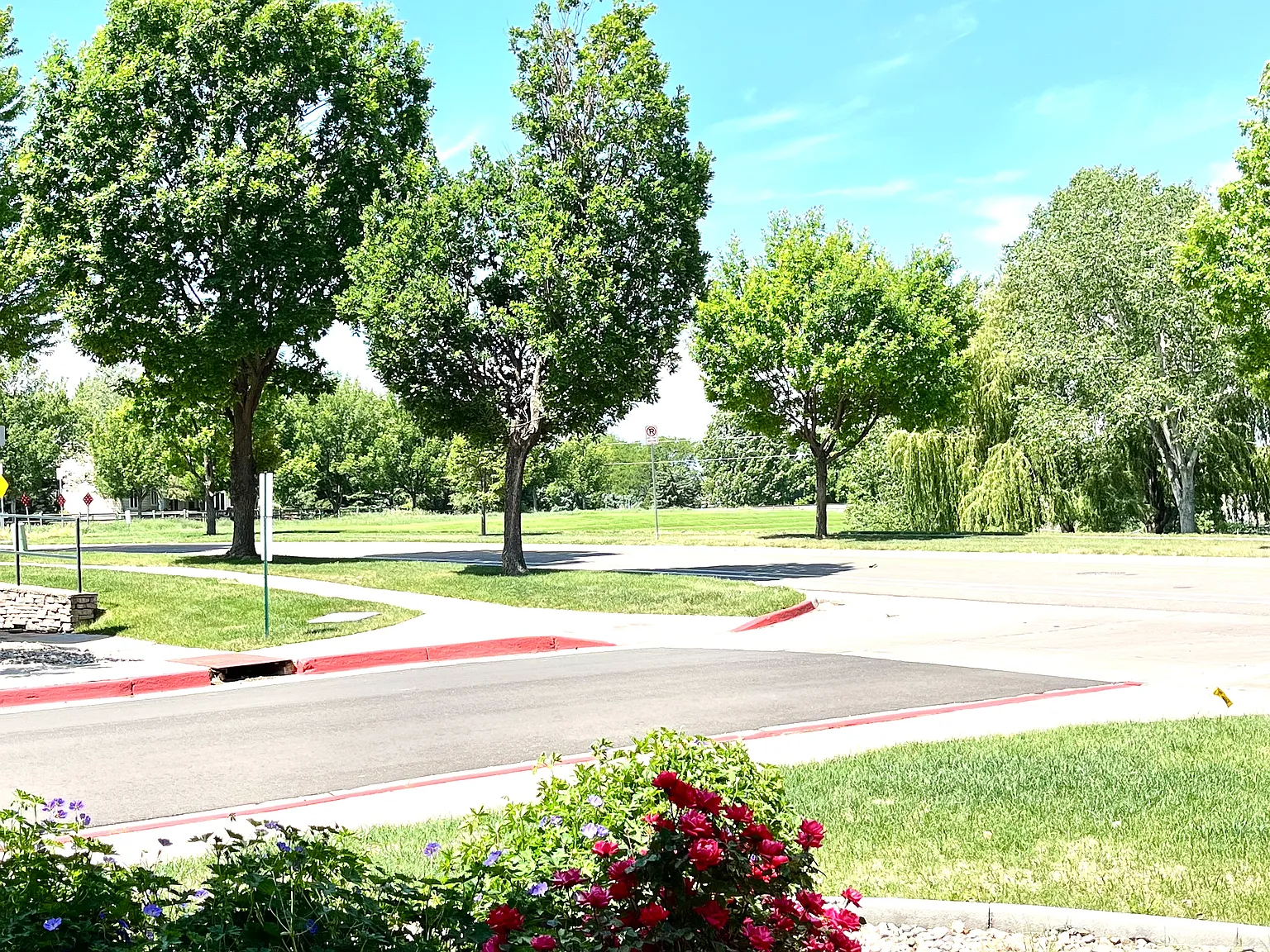 5225 White Willow Dr — Photo 4