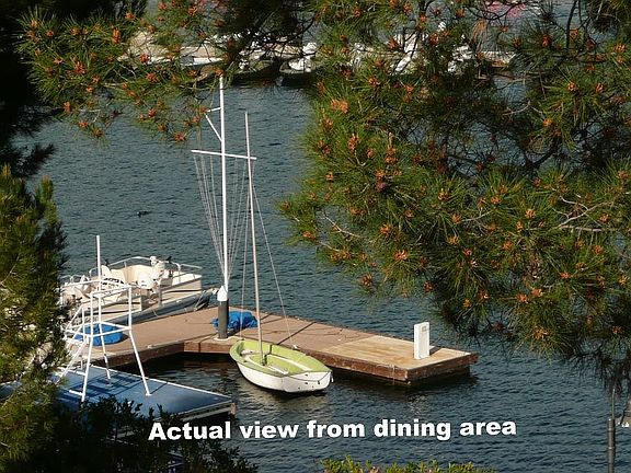 View from dining area