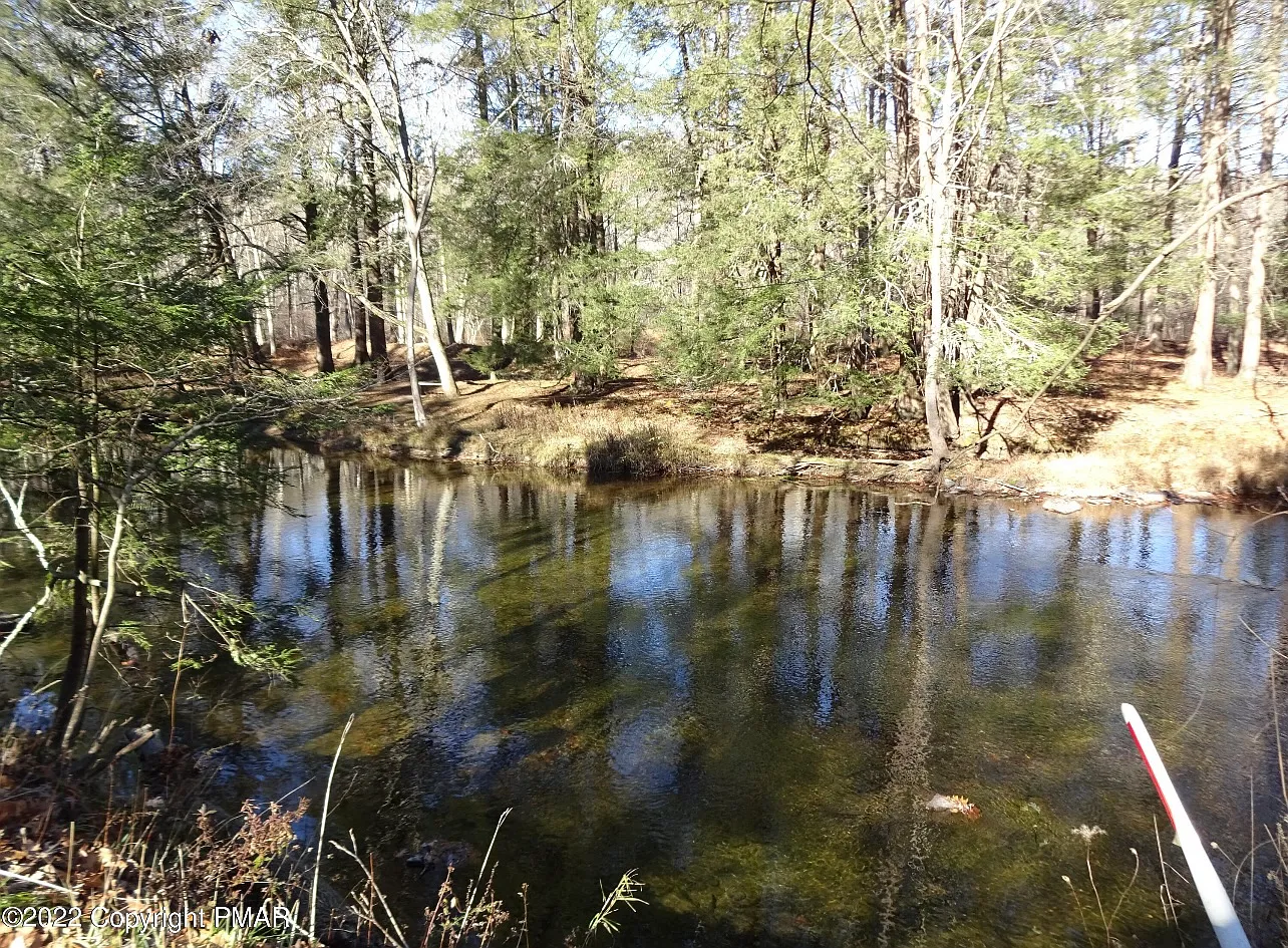2 bed, 1020 sqft, $2,000 — Photo 3