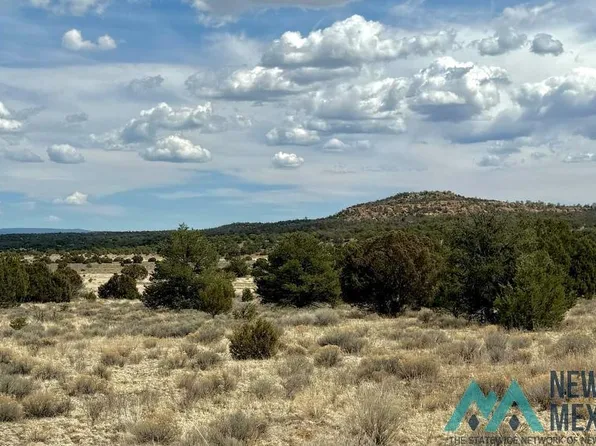 16 Five Gate Rd, Pinehill, NM 87357