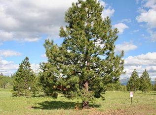 329 Whitetail Dr, McCall, ID 83638