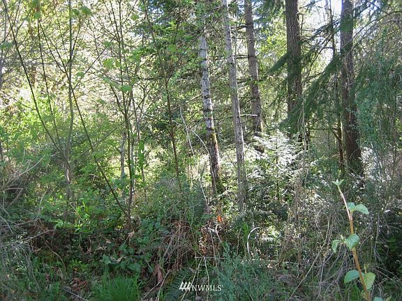 5th image of 0 12 lots off Centerline Road