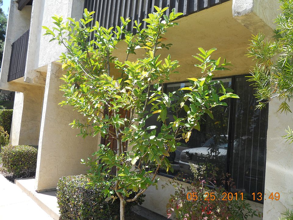 2nd image of 10261 Black Mountain Rd #K2-212607k