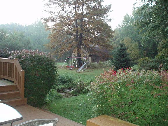Backyard in Fall