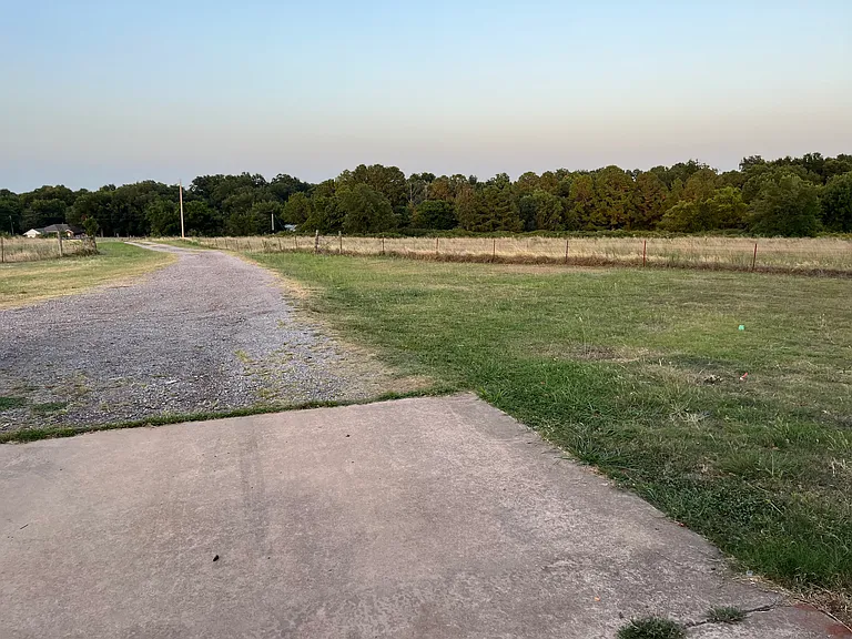 Horse Ave — Photo 2