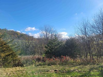 62 Heatherdowns Ln, Galena, IL, 61036