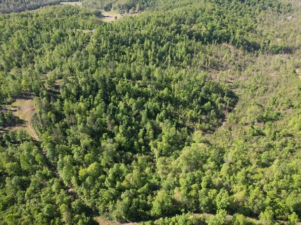 0 Forest Rd #3125, Piedmont, MO 63957