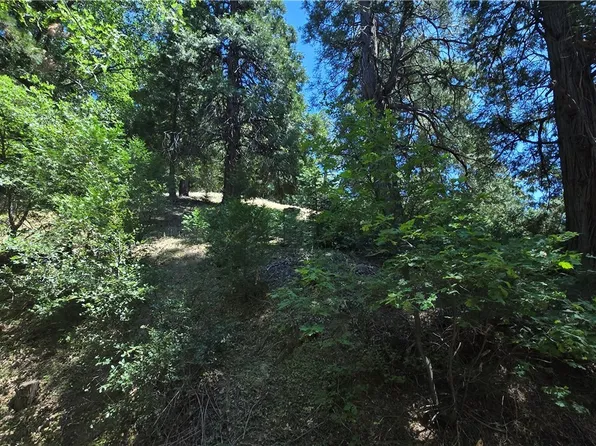 22496 Mojave River Rd, Cedarpines Park, CA 92322