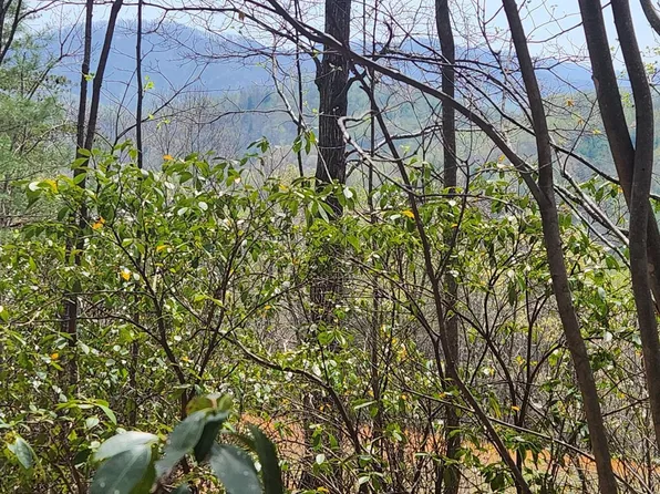 303 Harrison Creek Rd, Amherst, VA 24521