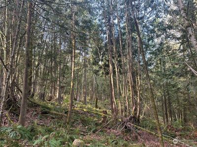 32 XX 290th Way NE, Redmond, WA, 98053