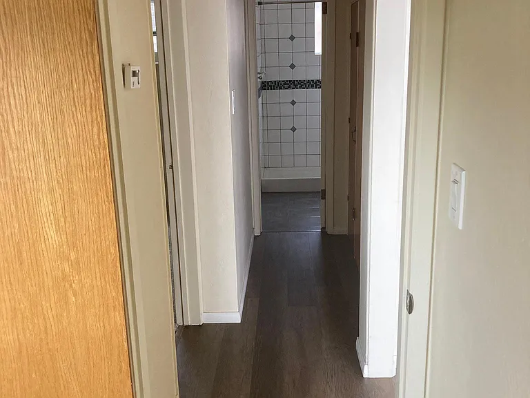 Hall with big storage closet.
