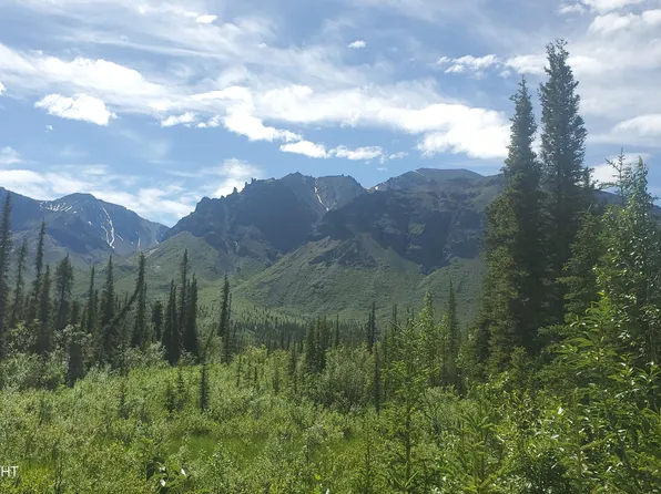 Mile 3 Nebesna Rd, Gakona, AK 99586