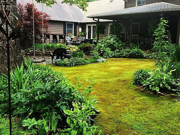one of several moss lawns!