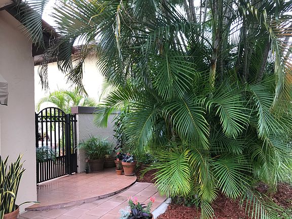 Approach to front patio.
