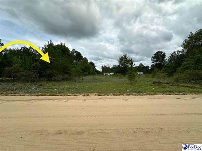 LOT 25 Old Hickory Dr, Dillon, SC, 29536