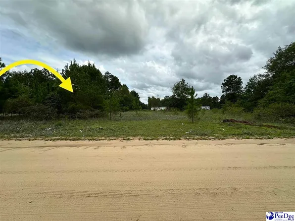 LOT 25 Old Hickory Dr, Dillon, SC 29536