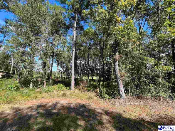 Tatum Hwy, Clio, SC 29525