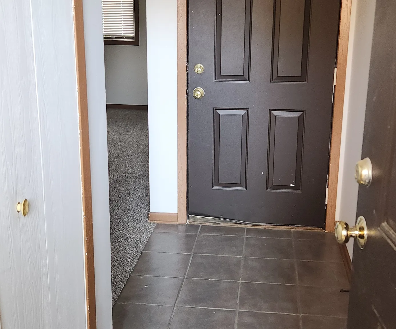 1254-1256 Robinwood Drive - 1254-101 — Photo 2