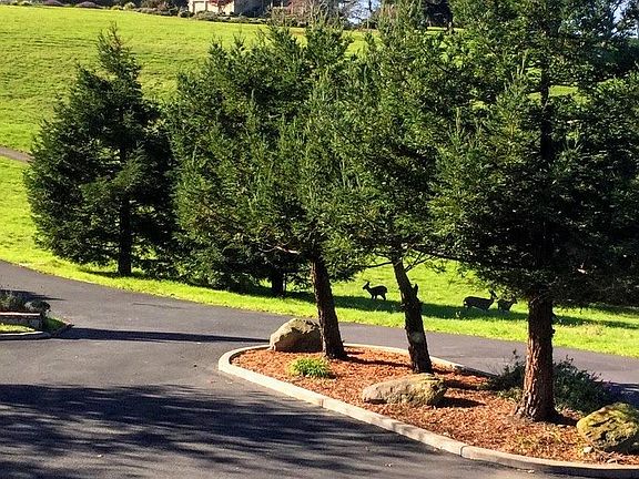 5th image of 6031 Carniglia Ln