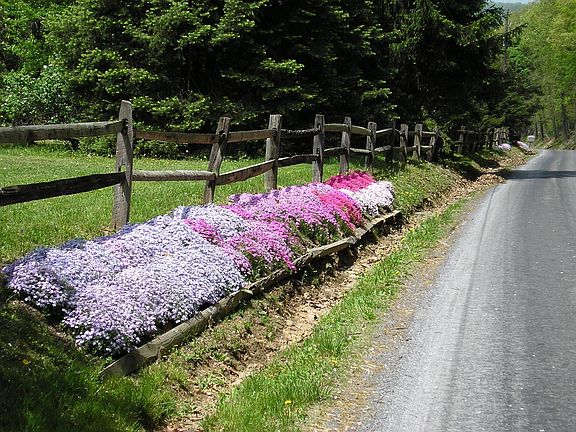 Road frontage