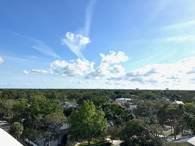 4015 Bayshore Blvd #8D — Photo 15