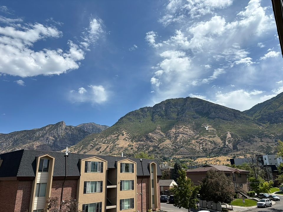 View from the living room