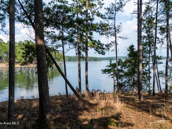 113 Big Pup Ct, Alexander City, AL 35010