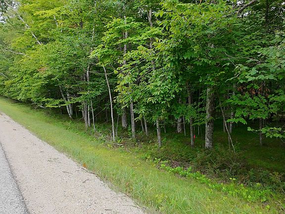 3rd image of Gibraltar Rd #12