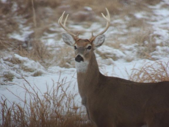 90th image of this home