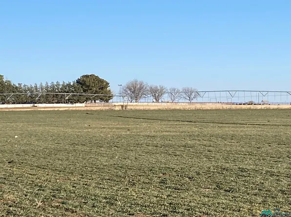 3410 E Rose Rd, Hobbs, NM 88242