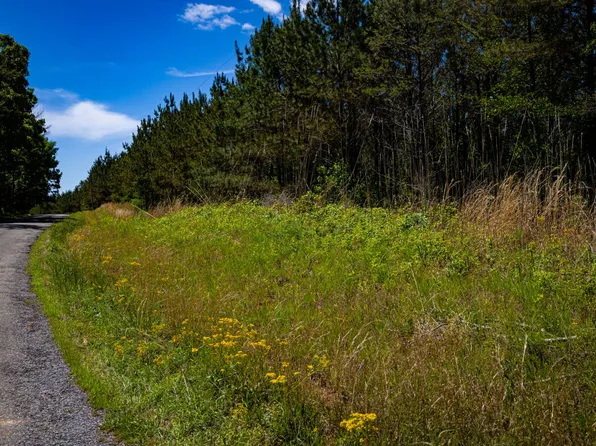 0 Burntfields Rd Tract 6, Fulton, MS 38843