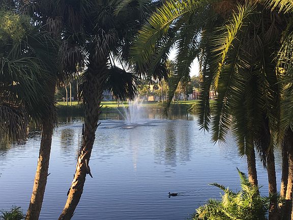 Walk to Orange Lake