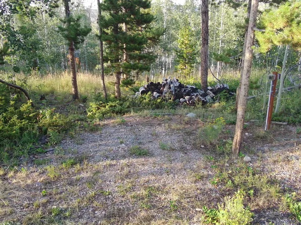 1239 Deer Ln, Kamas, UT 84036