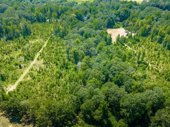 0 J D Broome Rd Parcel A, Sumrall, MS 39482