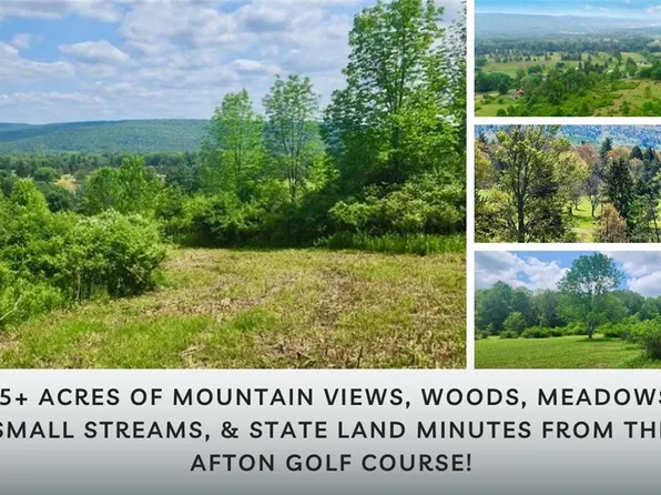 LOT 30 Algerine St, Afton, NY 13730