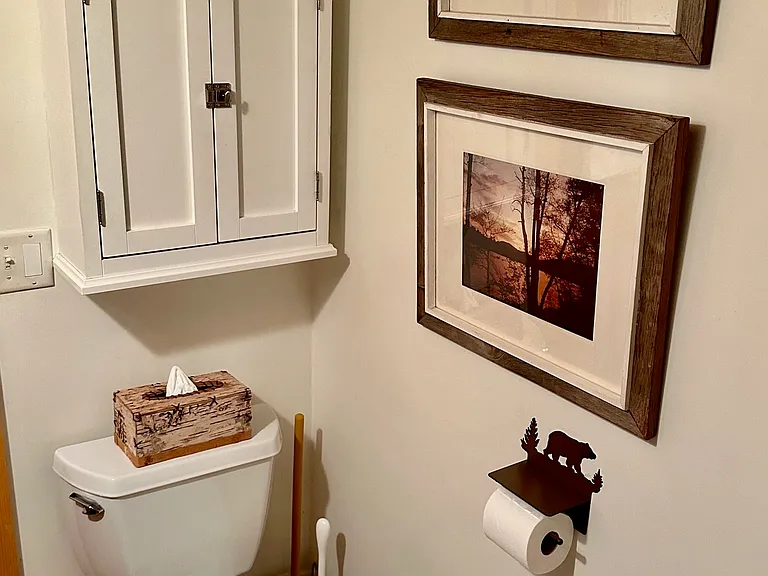 Full Bathroom with toilet, hanging cabinet, Black Forest Decor birch bark tissue holder and toilet paper holder.