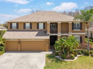 3726 Duke Firth St, Land O Lakes, FL 34638