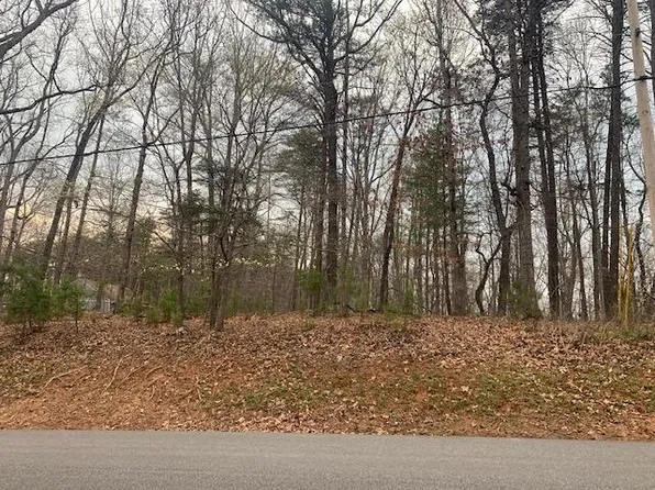 76 Forest Rd, Moneta, VA 24121