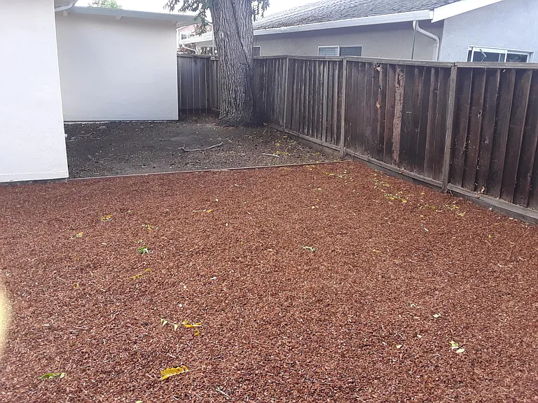 36730 Ruschin Dr — Photo 18