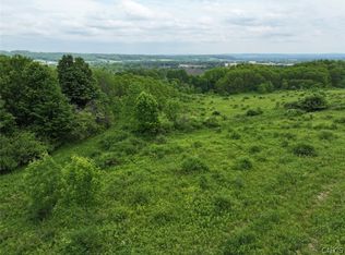 Dye Rd, South Dayton, NY 14138