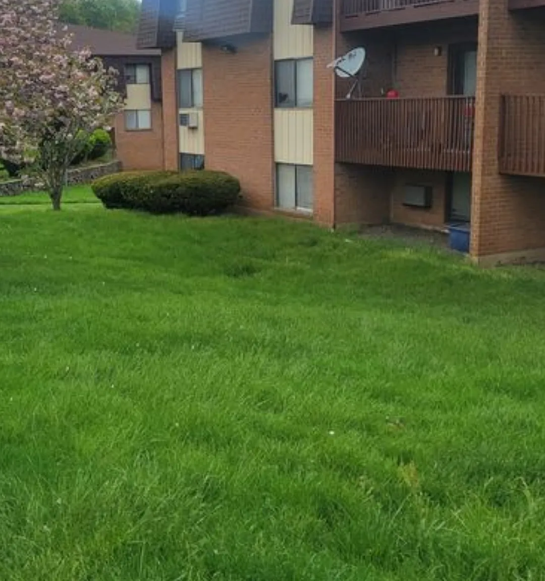 581 Crown St — Photo 2