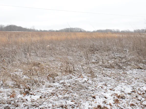 PARCEL Laingsburg Rd #D, Laingsburg, MI 48848