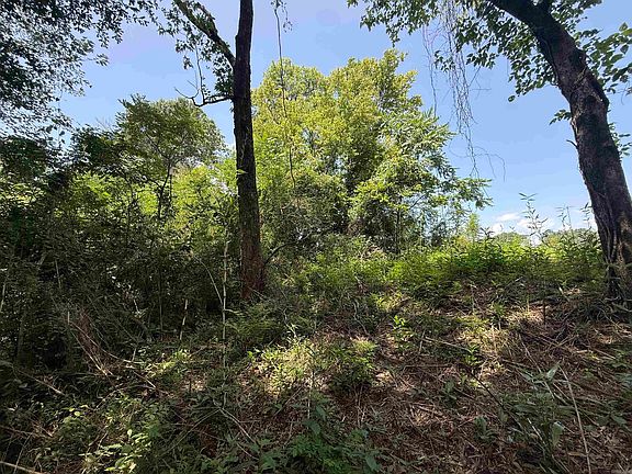 4th image of 62 River Dr